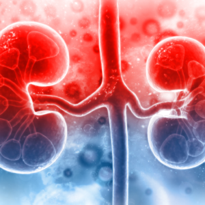 Renal / Kidney Related Diseases Renal / Kidney Related Diseases