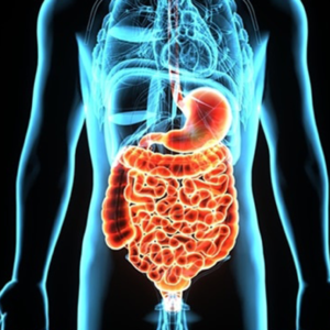 Gastrointestinal Disorders Gastrointestinal Disorders