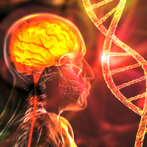 Nervous System Disorders Nervous System Disorders